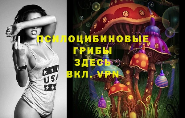 метадон Белокуриха