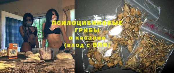 метадон Белокуриха
