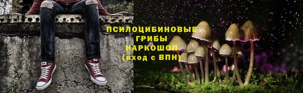 стафф Беломорск