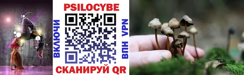 купить закладку  shop состав  Псилоцибиновые грибы прущие грибы  Елабуга 